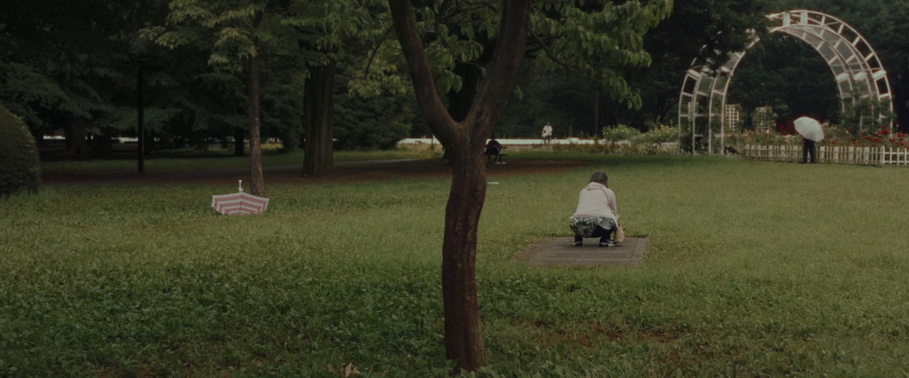 【1/16(金)〜】YOYOGI